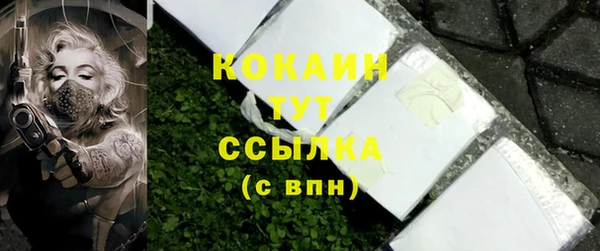 индика Елабуга