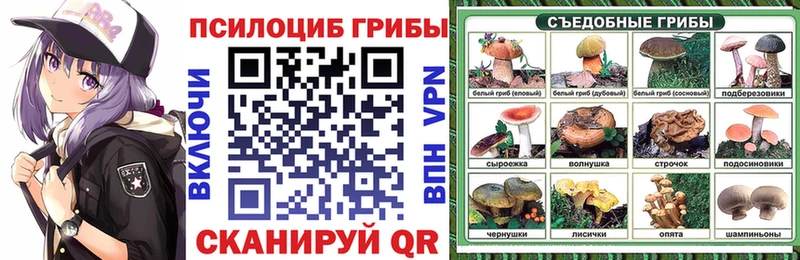 цены   Белинский  Псилоцибиновые грибы GOLDEN TEACHER 