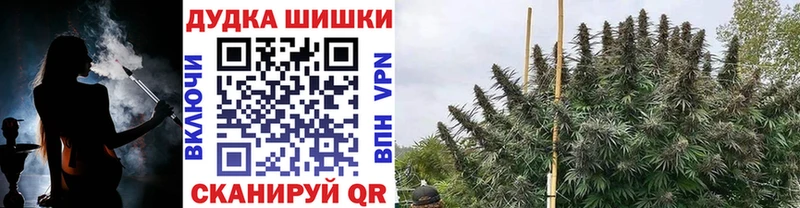 Бошки марихуана гибрид Белинский